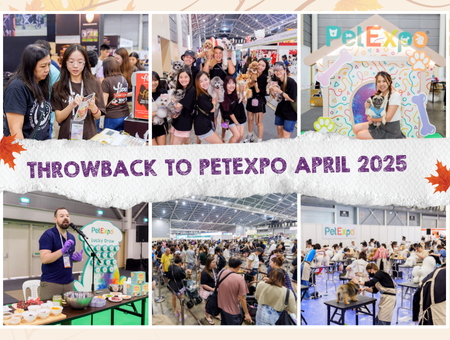 Sample Alternative Text