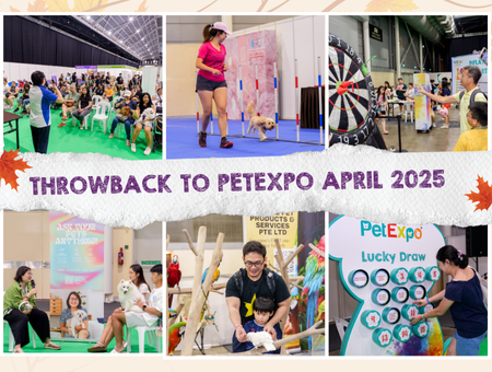 Sample Alternative Text