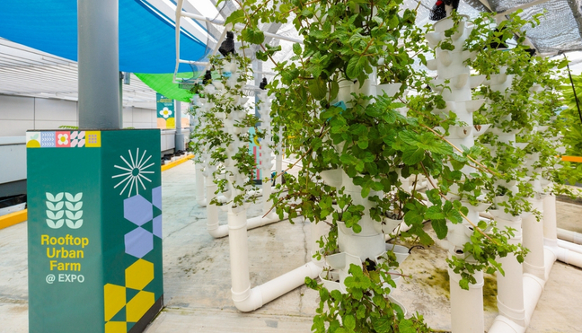 sustainable catering