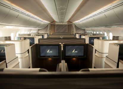 Airline website